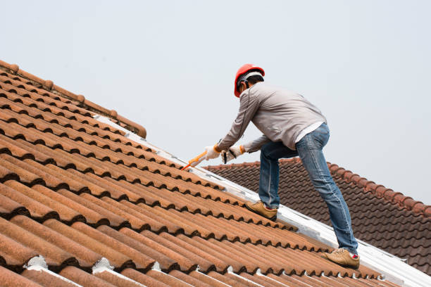 Best Rubber Roofing (EPDM, TPO)  in Cherry Creek, CO