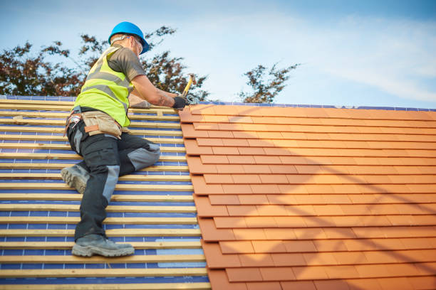 Best Skylight Installation and Repair  in Cherry Creek, CO